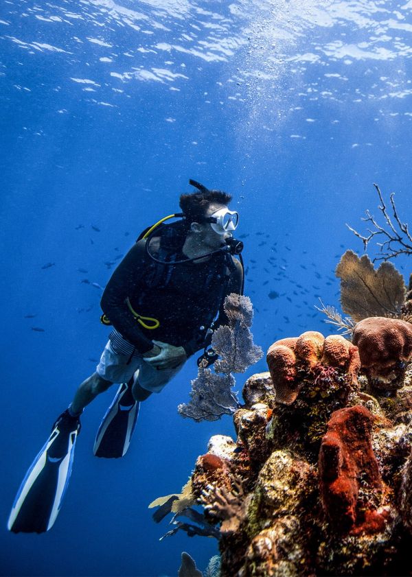 scuba diver certification in honolulu hawaii